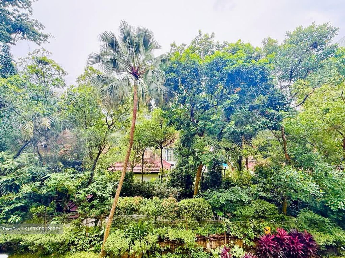 St. Martin Residence (D10), Condominium #579143871